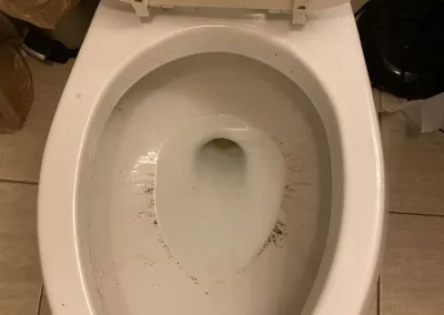 Professional Bathroom Cleaning Service