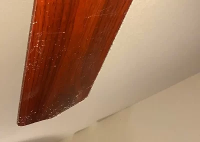 Reliable Home Cleaner