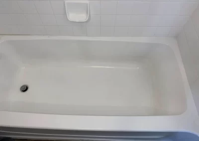 Professional Cleaning Services